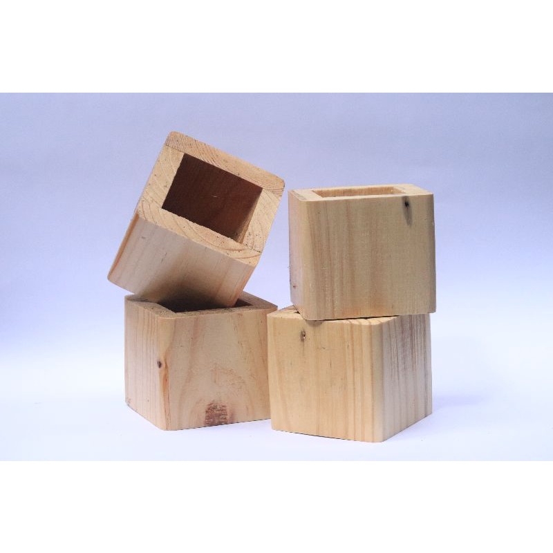 Pot Kayu Unik Kaktus Succulent