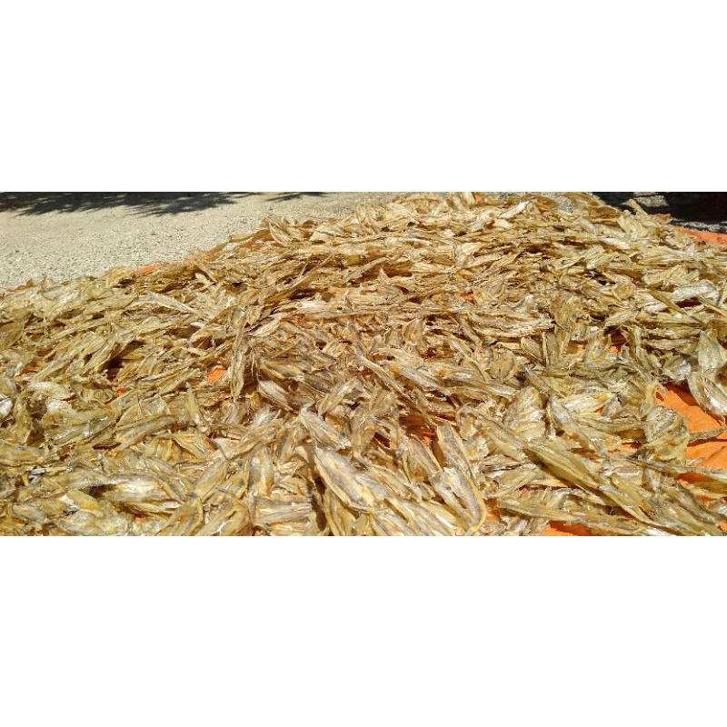 

Ikan Kering_Bloso