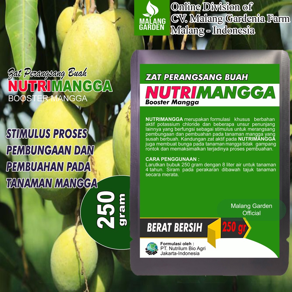 Jual Zat Perangsang Buah NUTRIMANGGA 250 Gram | Pupuk Booster Pelebat ...