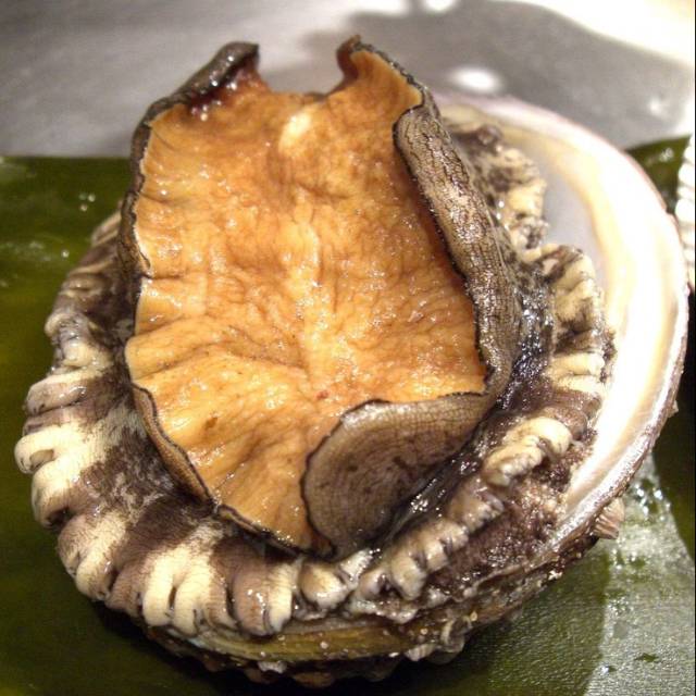 

Abalone
