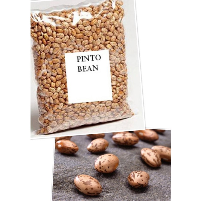 

Pinto Bean