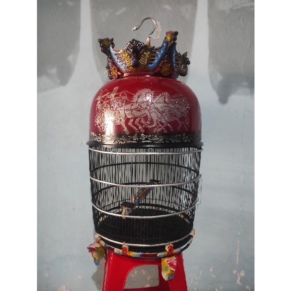 sangkar burung perkutut mahkota merak