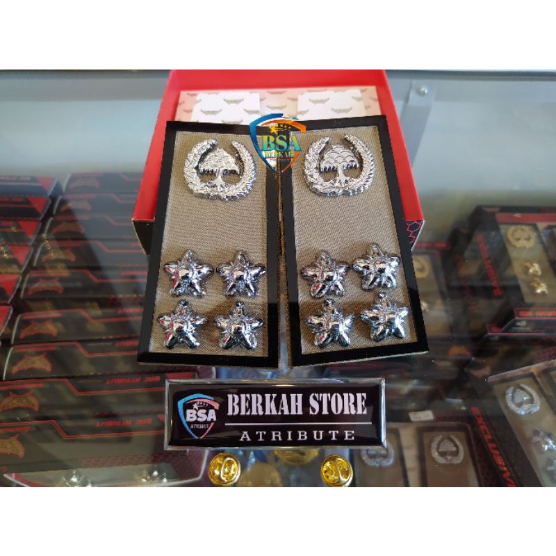 PANGKAT ASN LAMPUNG GOLONGAN 3D - EXCLUSIVE TERBAIK