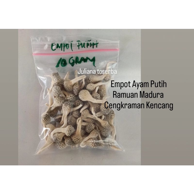 

Biang Ayam Putih Premium Em Pot Mpot Madura 10 gram