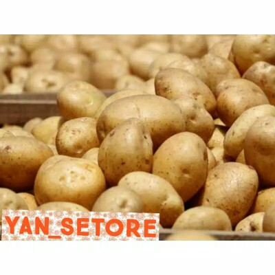 Kentang Dieng Super Jumbo (1kg)