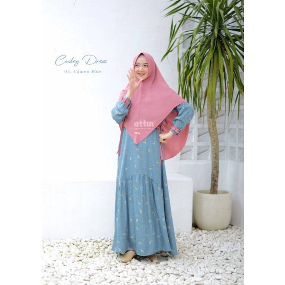 Cailey Dress by Attin