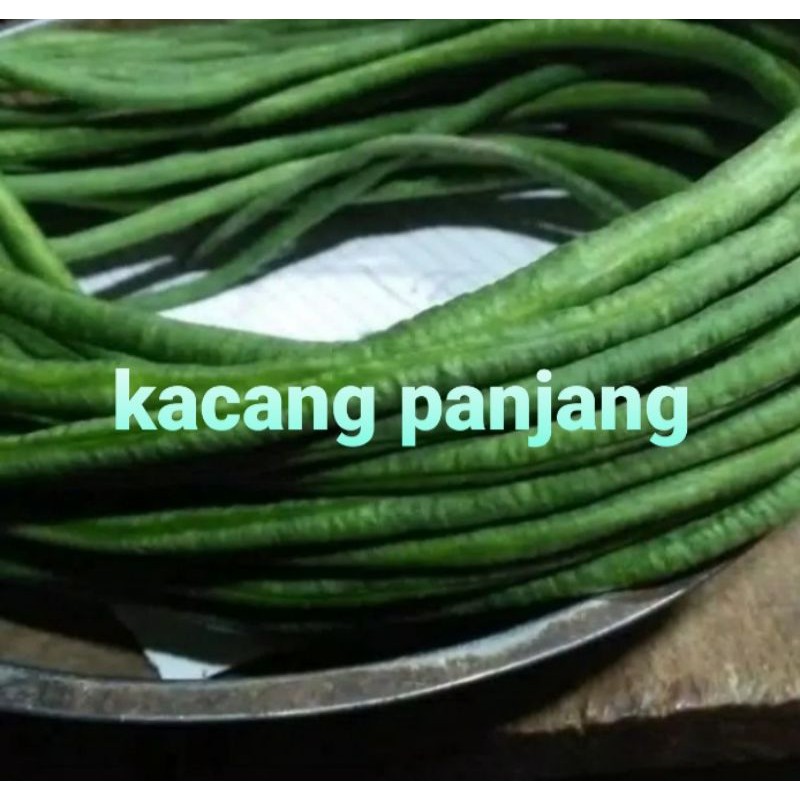 

KACANG PANJANG/500grm