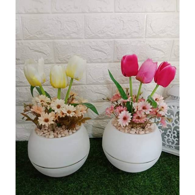 

Bunga Tulip Mix Baby Daisy