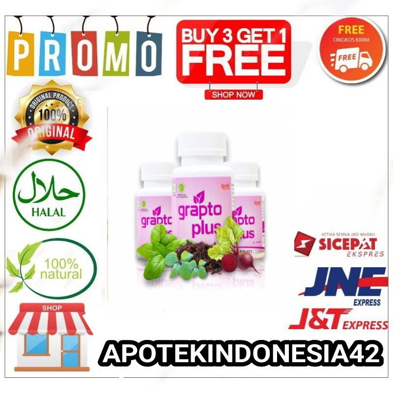 GRAPTO PLUS OBAT AMBEIEN WASIR - GRAPTO PLUS ASLI 100% ORIGINAL