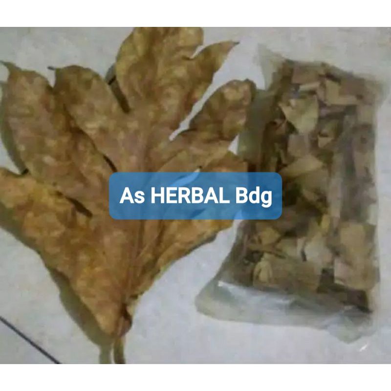 

Paket hemat daun sukun kering 300 gram ready-az