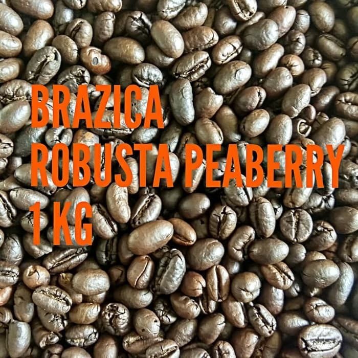 

Kopi Robusta Lampung PEABERRY 1 Kg "BRAZICA" ( Biji / Bubuk )