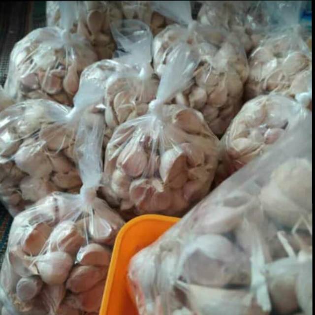 

Bawang Putih Kating