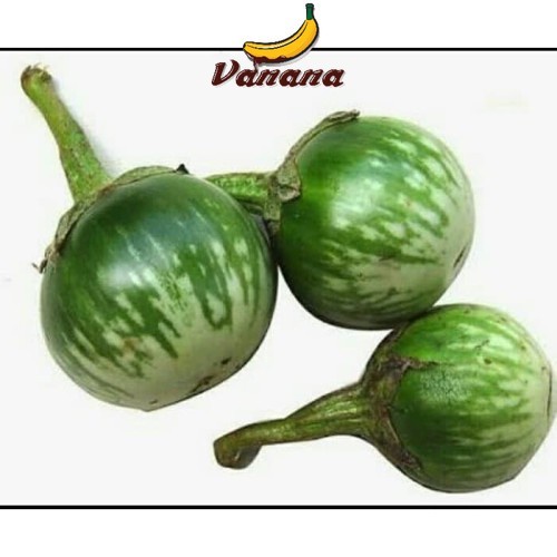 

Terong hiaju bulat 1/2kg (500g)