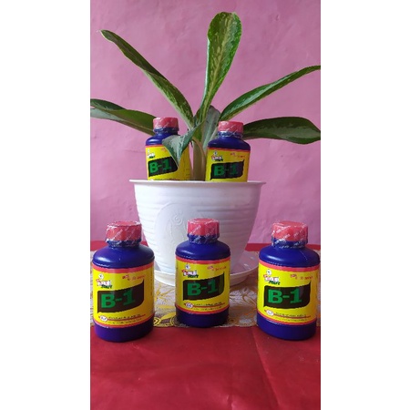 B1 Fuji start thailand 100 ml