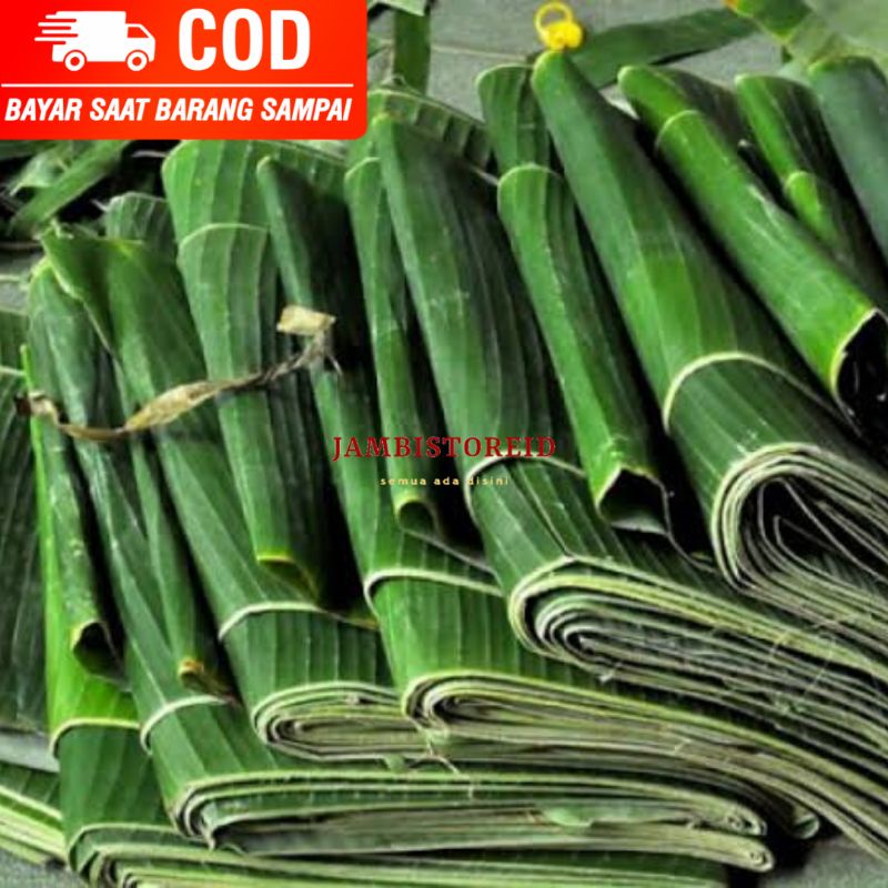 

(JAMBISTOREID) Daun Pisang 1 Ikat 1 Daun Besar Segar Banana Leaf Leaves Alas Bungkus Pepes Lapek Pencegah Bau Makanan Jambi