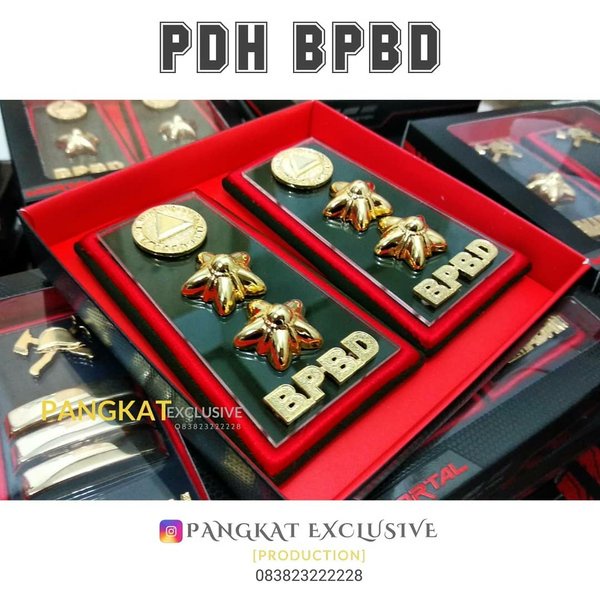 

terbatas PANGKAT BPBD MELATI DUA KABID Berkualitas