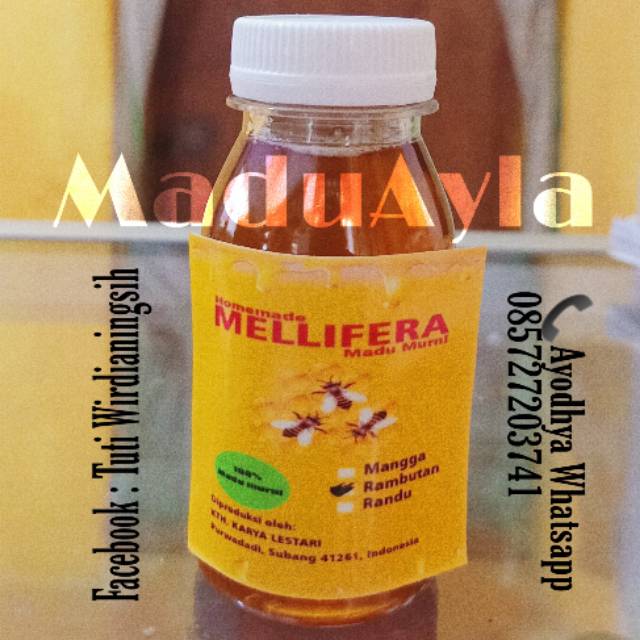 

Madu Murni Asli Lebah Madu Mellifera 80 ml
