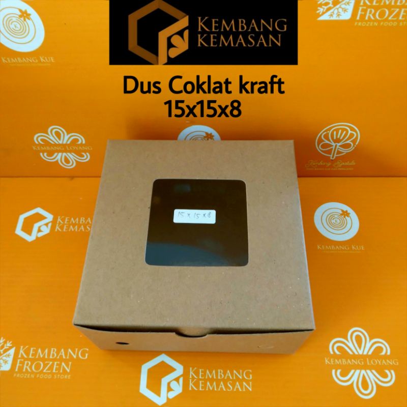 10 PCS DUS COKLAT KRAFT 15X15X8