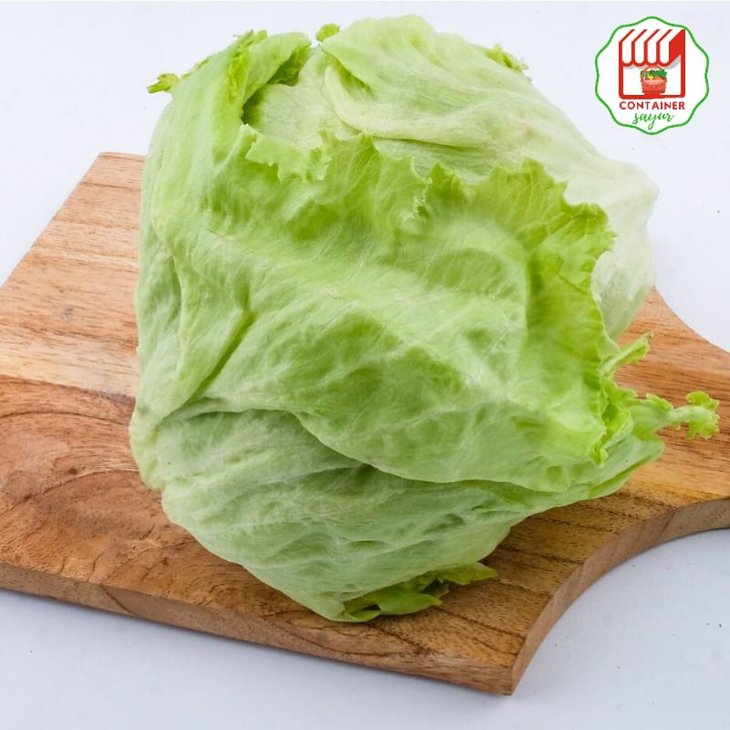 

ContainerSayur Lettuce 500gr