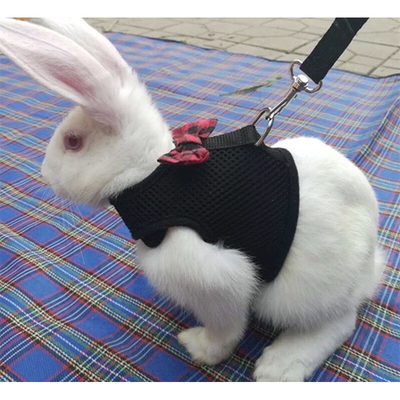 HARNESS KELINCI ROMPI KELINCI TALI KELINCI HARNES KELINCI HARNESS MARMUT HARNESS KUCING BAJU KUCING