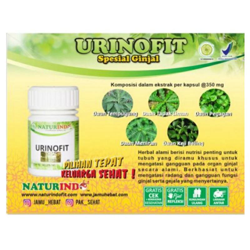 

Urinofit (spesial ginjal)