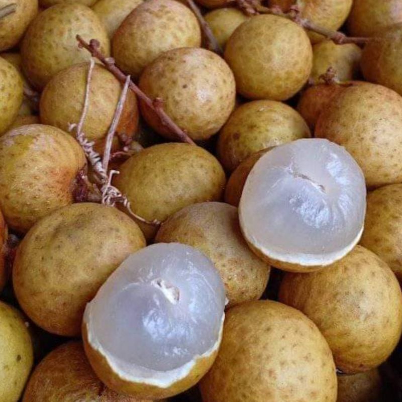 

Lengkeng Thailand / 1Kg / 500gram