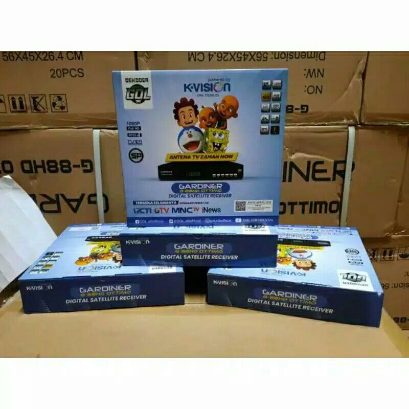 Receiver Parabola kvision Gardiner