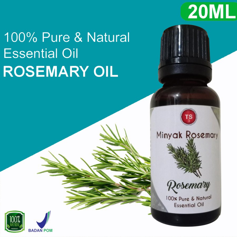 Jual Rosemary Oil - Minyak Rosemary Essential Oil 100% Pure & Natural ...