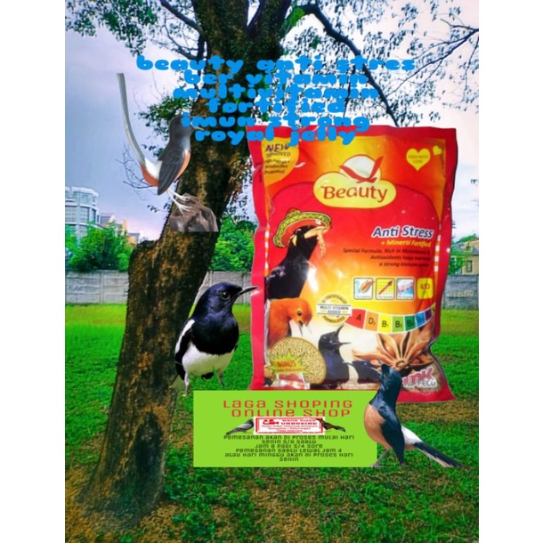 beauty merah 450 gr pakan burung muray kacer cucakijo beauty anti stress ber vitamin mineral fortified asli ori fancy