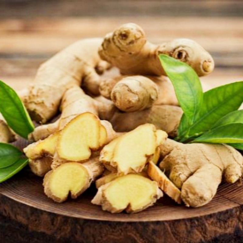 

JAHE EMPRIT / Jahe Putih Segar 1kg ( 100% fresh ) MURAAH !!!