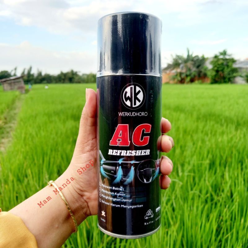 Pembersih AC Mobil AC Cleaner Refresher PenyegarAc Mobil Anti Bakteri