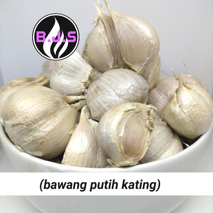 

TERBARU BAWANG PUTIH KATING 500 GRAM DISCOUNT