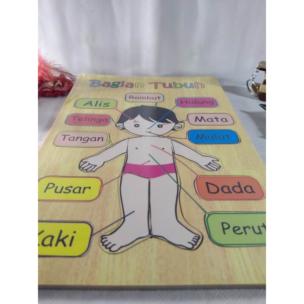 PUZZLE KAYU / MAINAN EDUKASI / PUZZLE GAMBAR BAGIAN TUBUH BAHAN KAYU. Riens Collections