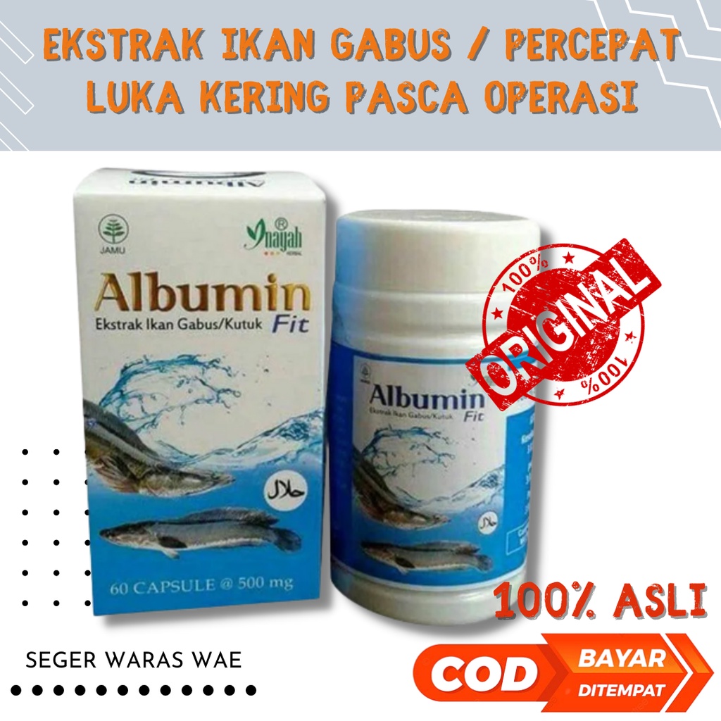 ALBUMIN FIT 60 Kapsul Ekstrak Ikan Gabus Cepat Sembuh PASCA OPERASI / Ekstrak Ikan Kutuk