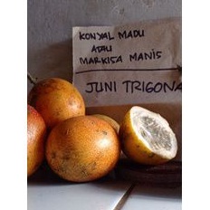 Biji Markisa Konyal Madu / Markisa Madu Asli Berastagi