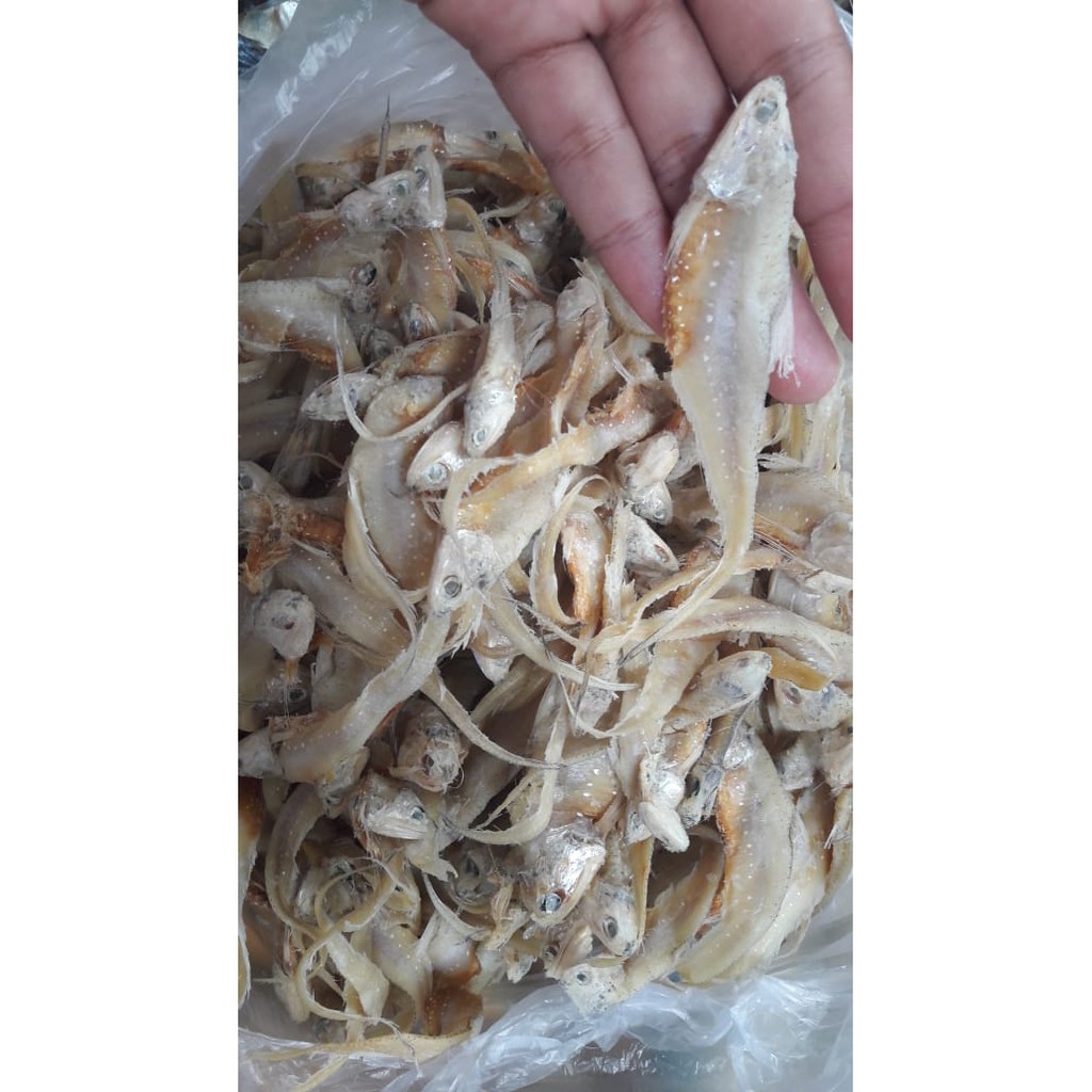 

Ikan Asin Bulu Ayam 100 gram