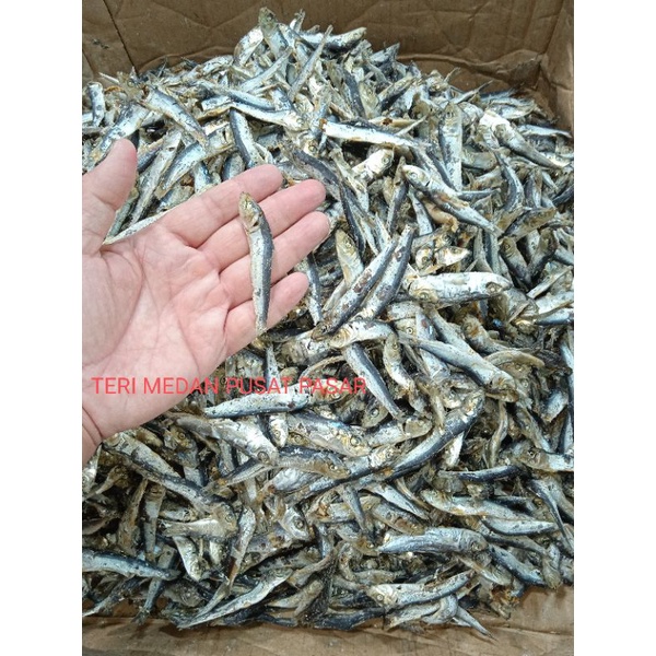 

Terimin/Sarden kecil (500 gram)