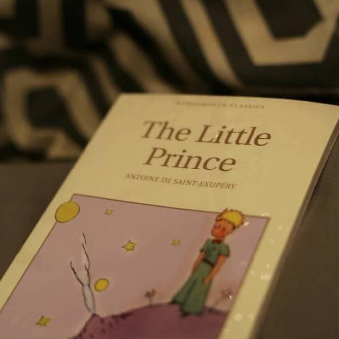 The Little Prince BI820