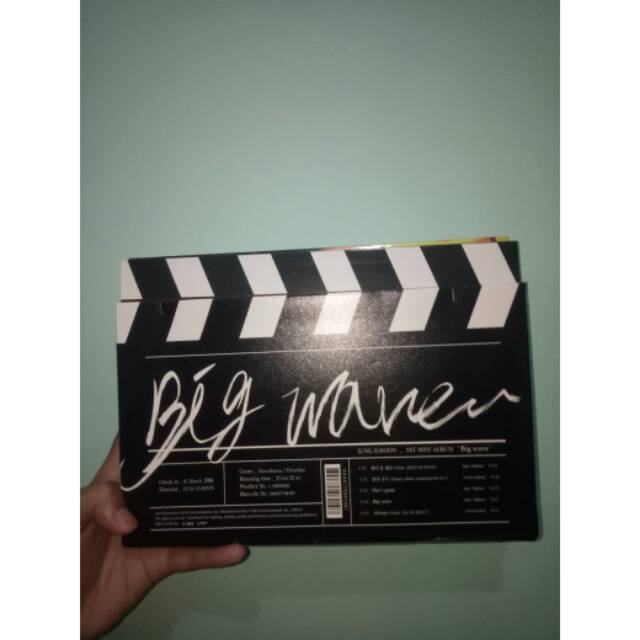 JUNG ILHOON BIG WAVE