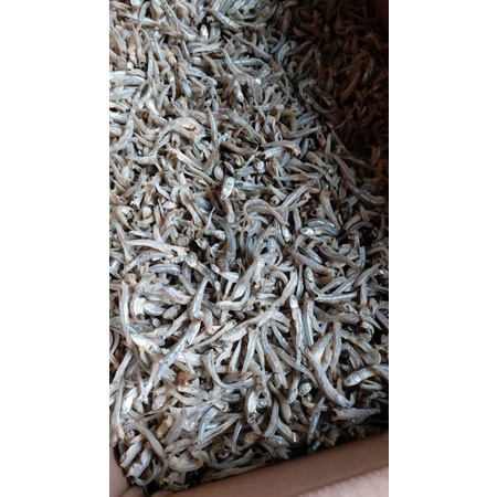 

Ikan Asin Teri Jengki