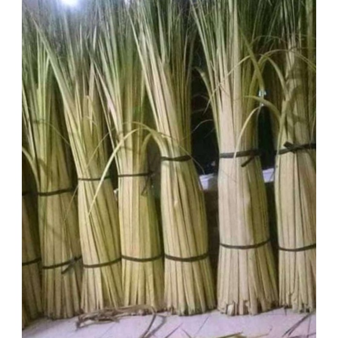 

kulit kelapa