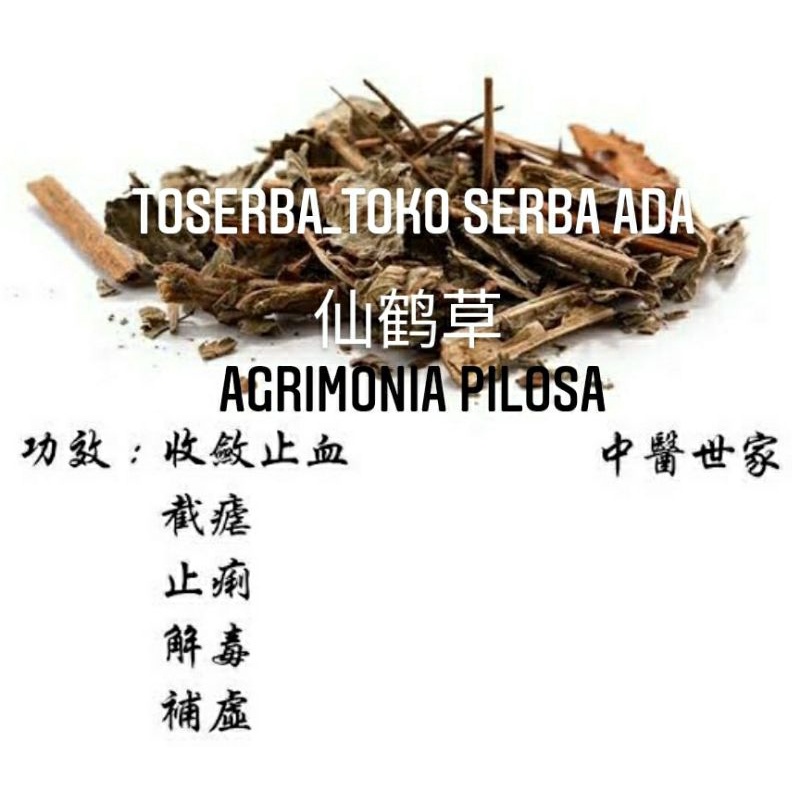 

100gr Herbal Xian He Cao 仙鹤草 Agrimony Agrimonia Pilosa Hairyvein Agrimonia Herband Bud Herb Of Hairyvein Agrimonia Herba Agrimoniae