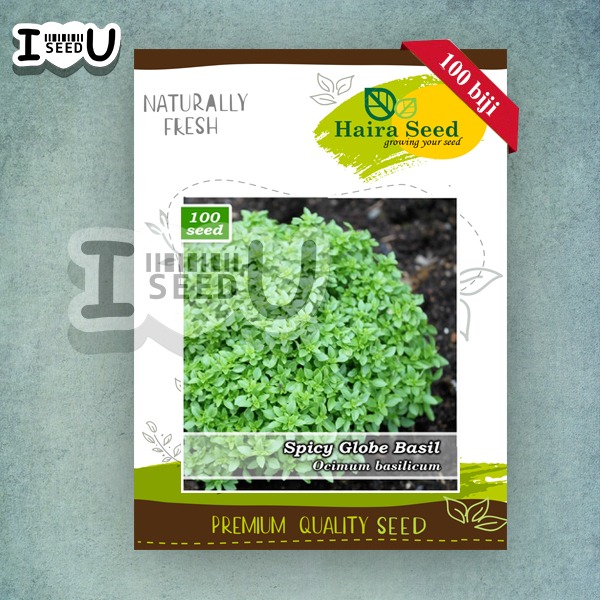 Haira Seed Bibit-Biji Basil Spicy Globe