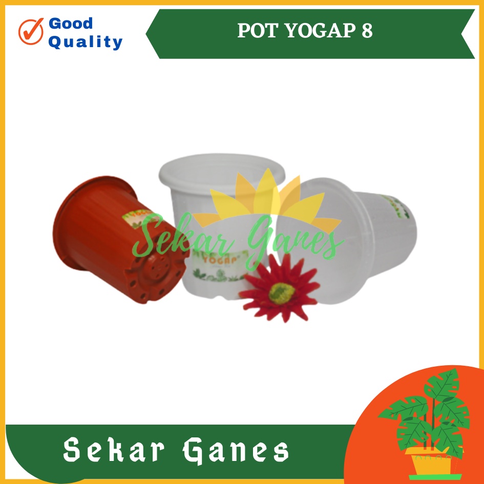 Sekarganes Pot Yogap 8 Putih Transparan Bening Merah Bata Coklat Terraccota Terakota Orange Pot Yogap 10 13 15 17 18 19 25 30 Pot Yogap Murah