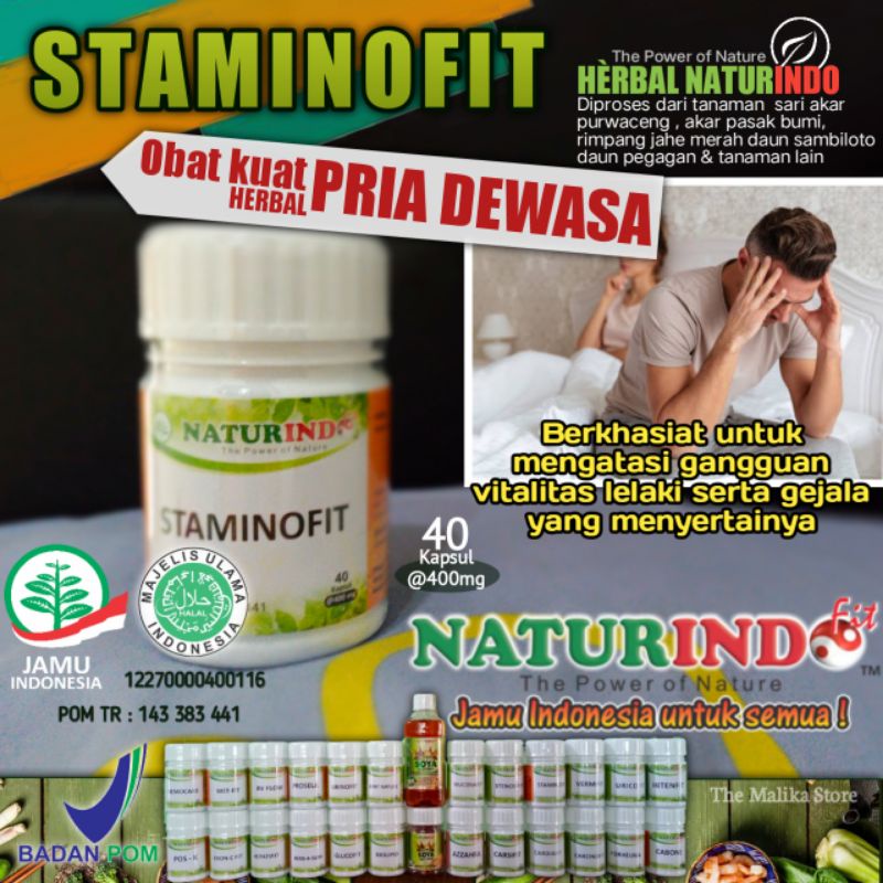 Staminofit Herbal Pria Perkasa