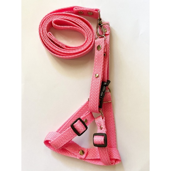 Tali Harness Y Polos 1,5cm