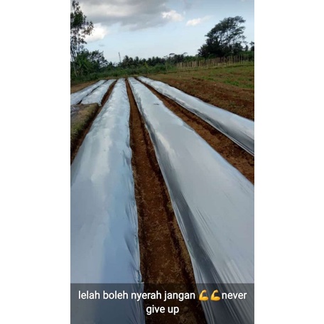 Harga grosir Mulsa hitam perak lebar 60cm packing 1kg +-30m,.