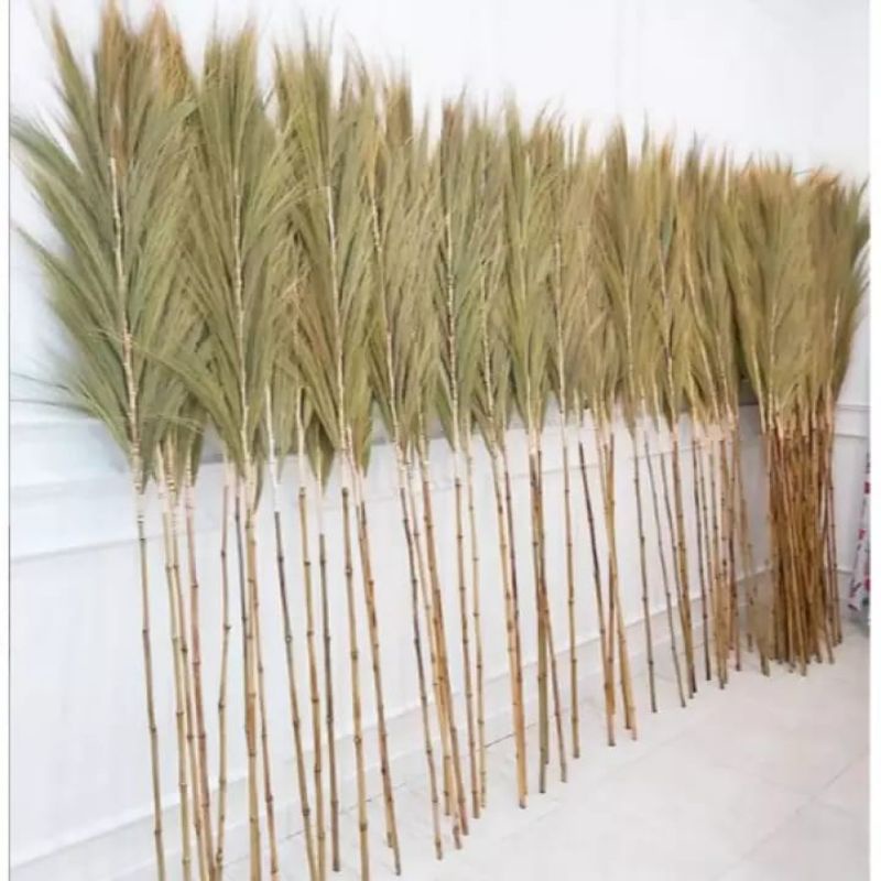 rayung bambu natural only /bambu rayung