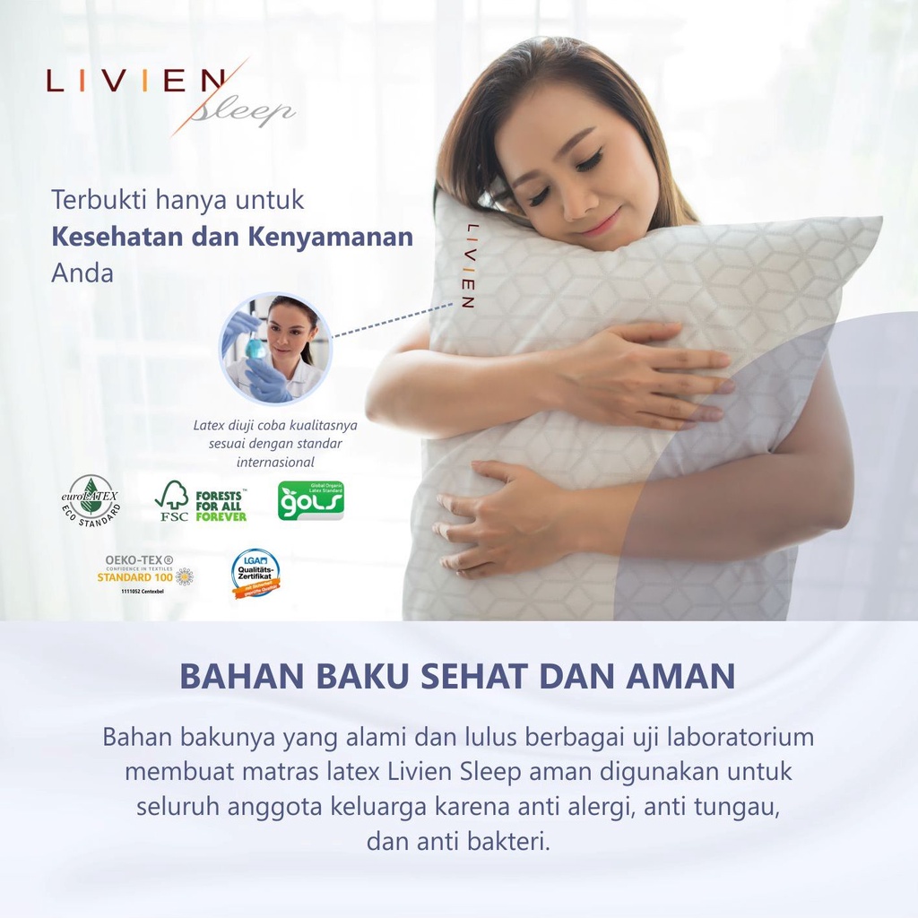 Bantal Latex, Livien Belgium Latex Pillow 60 x 40