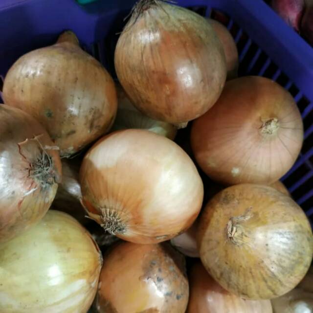

Bawang bombay impor